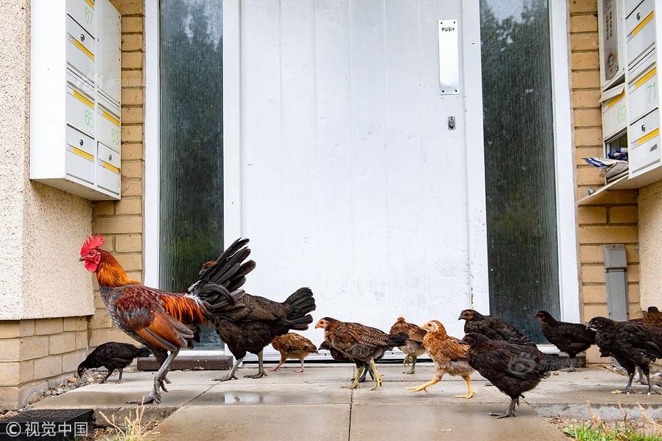 Hang tram con ga hoang “tan cong” nuoc Anh gay sung so