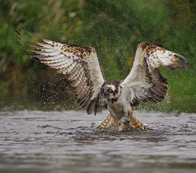 Ung bien khoe dang cuc ngau khi san giet ca