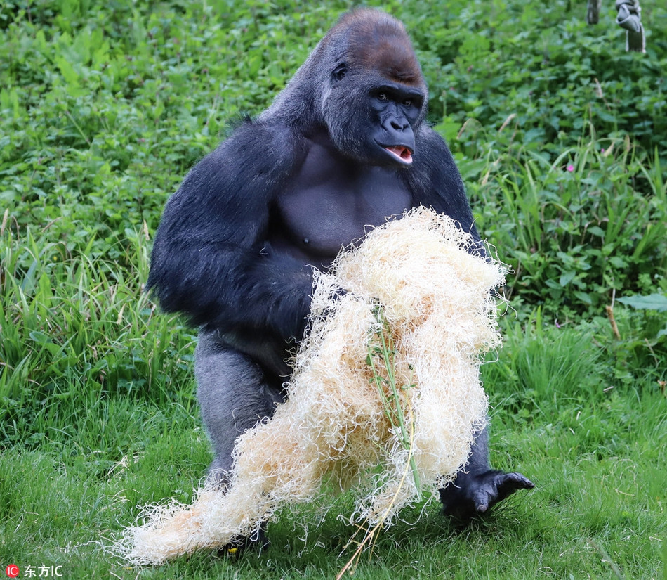 Khi dot khong lo dieu da khoe dang nhu ca si rock-Hinh-4