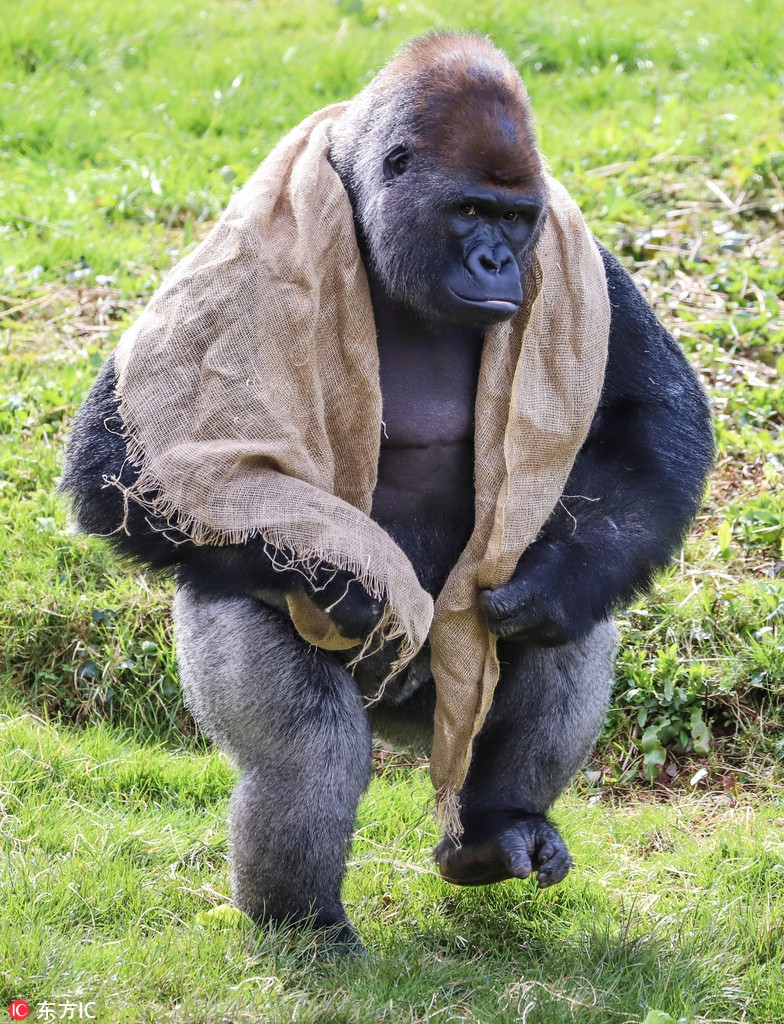 Khi dot khong lo dieu da khoe dang nhu ca si rock-Hinh-2