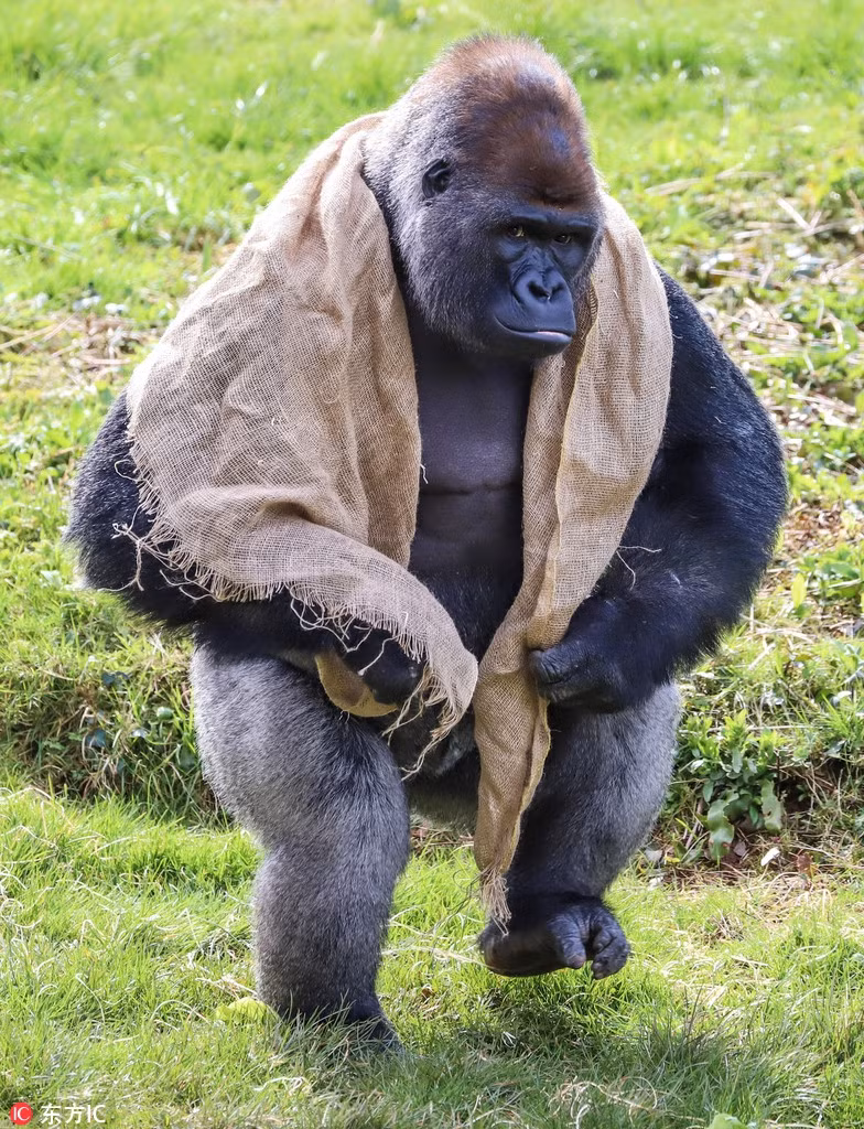 Khi dot khong lo dieu da khoe dang nhu ca si rock-Hinh-2