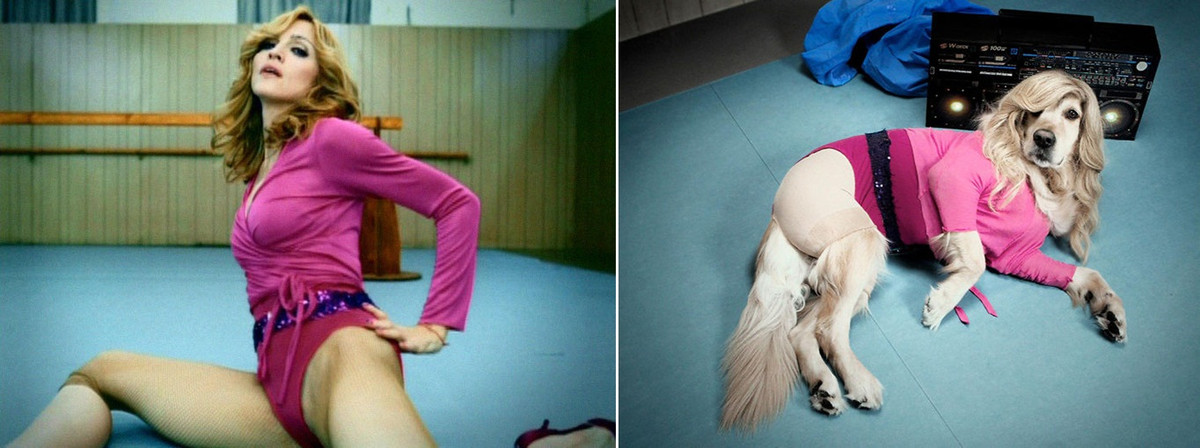 Được biết, để giúp Max tự tin và thoải mái khi chụp ảnh, Vincent thường mua phụ kiện trước đó và tuần và dành thời gian chơi với Max bằng những thứ phụ kiện đó.