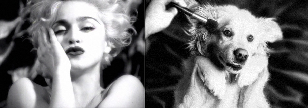 "Tôi là một fan hâm mộ lớn của Madonna. Những bức ảnh mà tôi đang thực hiện với Max là những món quà tặng dành cho các nghệ sĩ mà tôi yêu mến và tôn trọng...