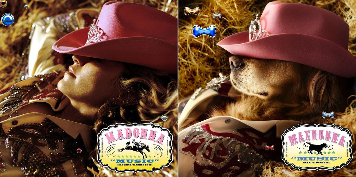 Nhận ra Max có những tố chất tiềm ẩn của một người mẫu động vật, Vincent quyết định sẽ khiến chú chó cưng của mình tỏa sáng trong bộ ảnh. Quan sát và bắt lấy từng đường nét quyến rũ từ những chủ đề thời trang, từ những người mẫu thời trang cao cấp mà mình vẫn thường tiếp xúc, Vincent muốn hình ảnh của Max phải thật ấn tượng.