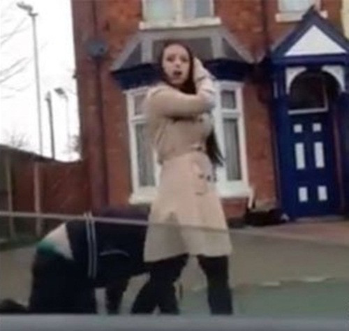 Chuyen la hom nay: Gai tre kiem tien tu viec xuc pham dan ong