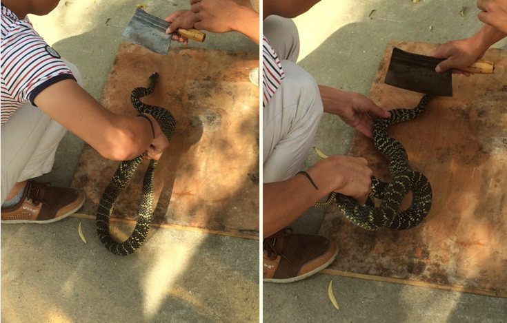 Chat dau ran nau canh, nguoi dan ong khong ngo gap dieu khung khiep-Hinh-2