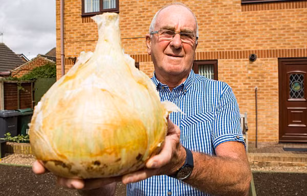 Dao duoc cu hanh tay 