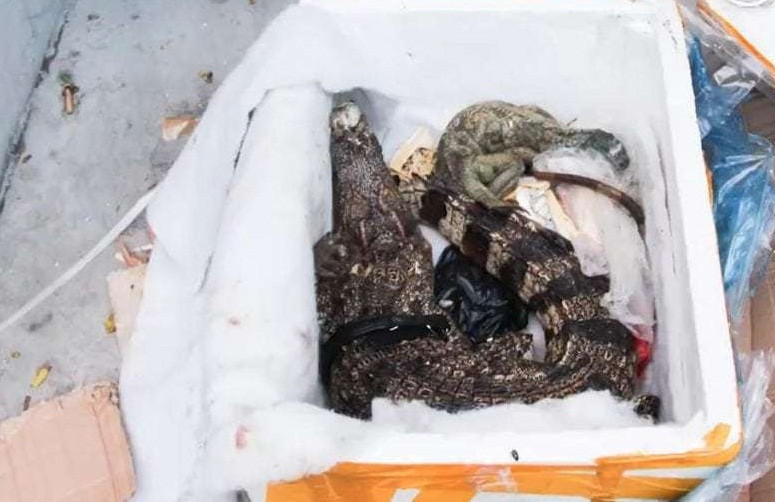 Mua hang qua mang, mo ra soc nang voi thu doc la, quai di...