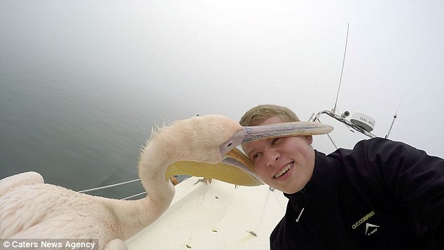 Chang trai hao hung chup anh tu suong, 