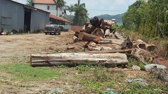 Vu bat trum go lau Phuong “rau”: Kiem diem nhieu can bo kiem lam-Hinh-2