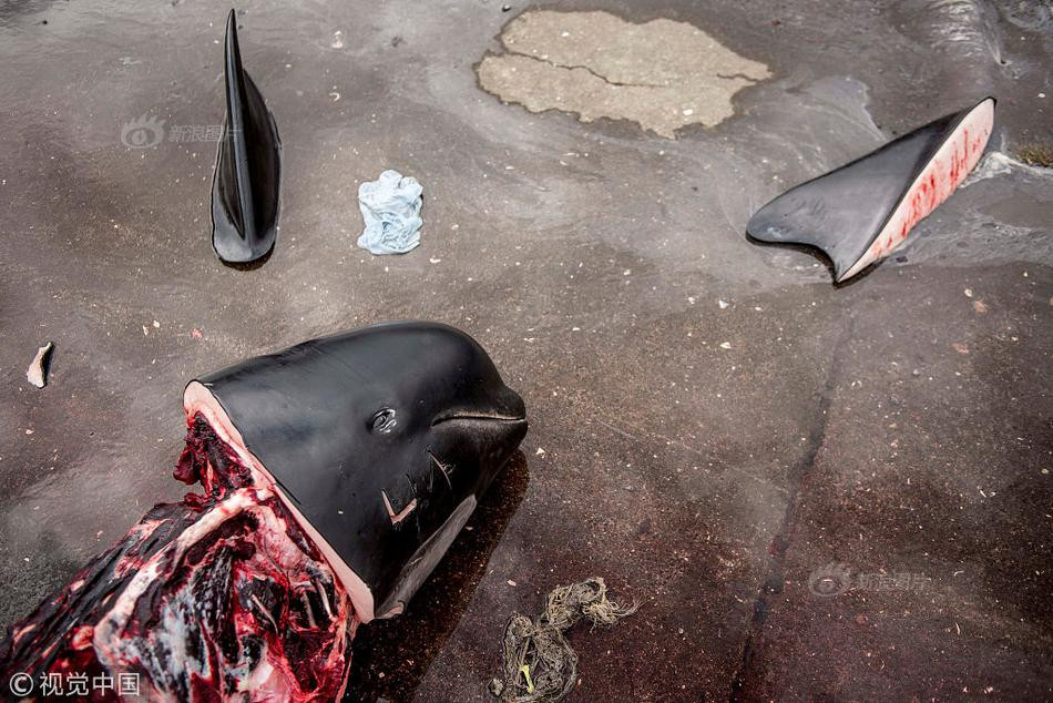 Chính quyền Faroe khẳng định việc lấy thịt và mỡ cá voi giúp người dân địa phương có thể sinh sống tự túc thay vì phải nhập nguồn đạm mà mỡ từ khu vực khác.