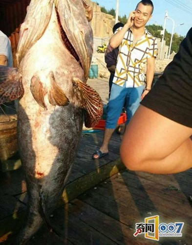 Con cá mú 88kg được trả giá lên đến 21.240 nhân dân tệ (hơn 73 triệu đồng).