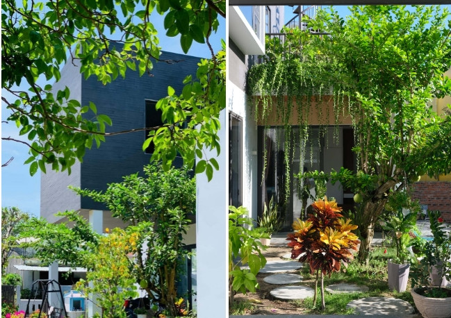 Thien duong goi gon trong ngoi nha 2 tang lau giua lang-Hinh-2