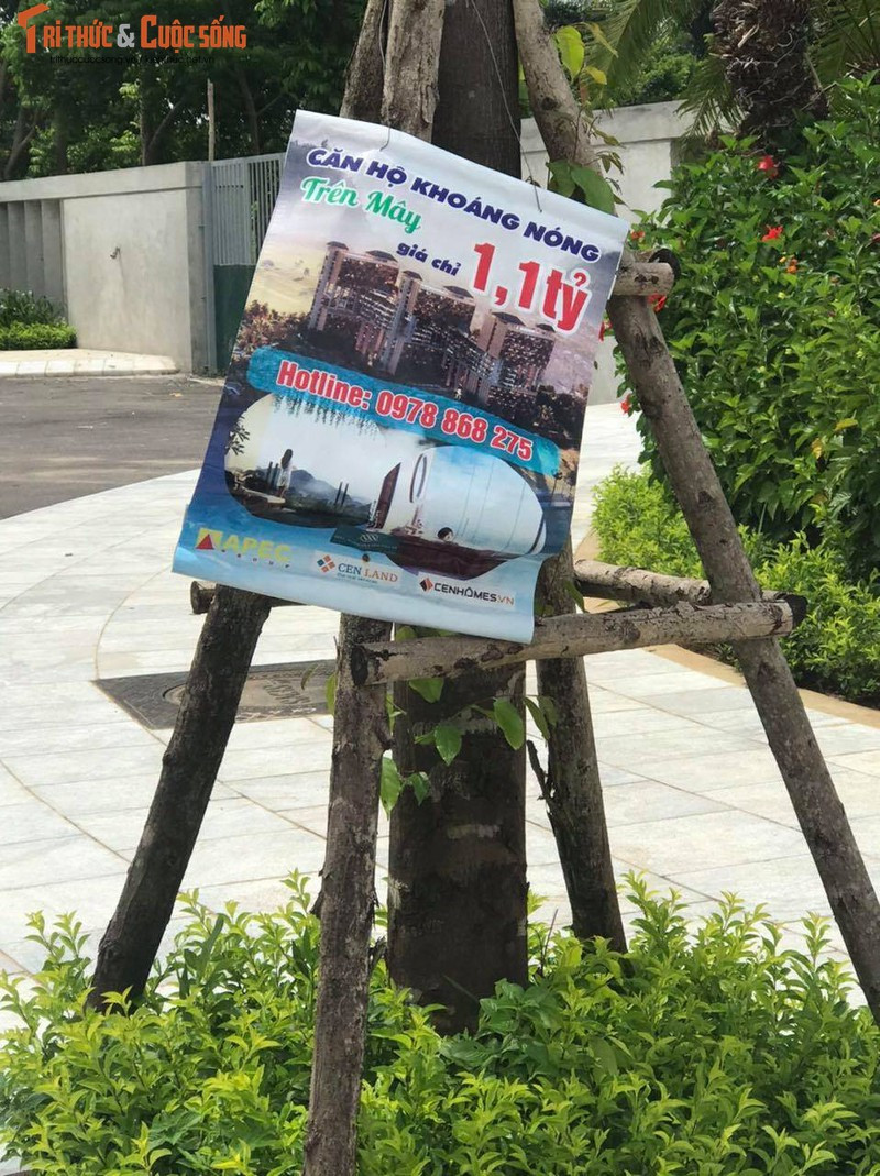 De nghi xu phat toi 300 trieu chu dau tu Apec Mandala Kim Boi rao ban trai phep-Hinh-3