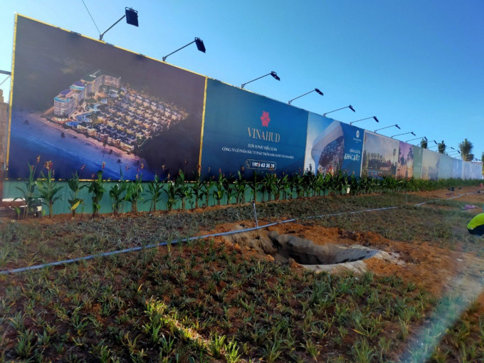 DN bi “beu ten” vi no thue: Cong ty Xuan Phu Hai, Thep Viet Phap, Bac Hoi An…