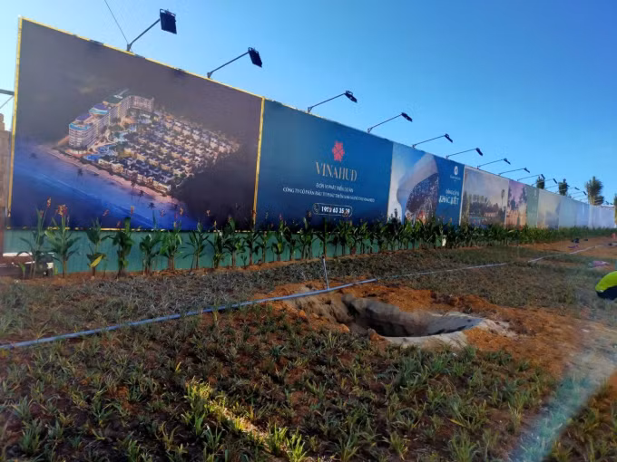 DN bi “beu ten” vi no thue: Cong ty Xuan Phu Hai, Thep Viet Phap, Bac Hoi An…