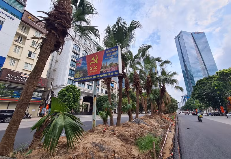 Ngoài giúp giảm giảm ùn tắc, khi dự án thi công xong giúp tuyến đường Liễu Giai - Văn Cao có hạ tầng và chiều rộng mặt cắt ngang đồng bộ với tuyến đường Nguyễn Chí Thanh - Trần Duy Hưng.