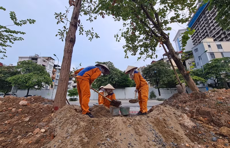 Toàn dự án chỉ còn một số hạng mục chỉnh trang, tạo hình nữa là hoàn thành.