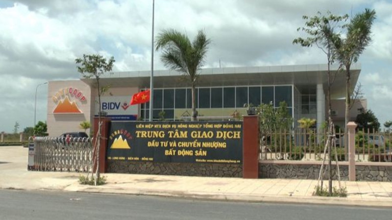 Donacoop muon nhap 15 trieu lieu vac xin Pfizer, tiem luc cong ty manh sao?-Hinh-3