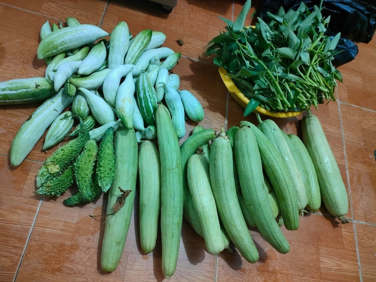 Luong 30 trieu cuoi thang het sach, vo chong tre xin “vien tro” que-Hinh-2