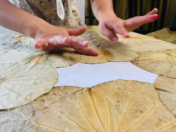 Lay la sen ve ve, 8X ban ca chuc trieu dong mot buc tranh