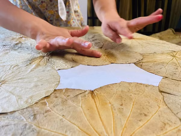 Lấy lá sen về vẽ, 8X bán cả chục triệu đồng một bức tranh Lay la sen ve ve, 8X ban ca chuc trieu dong mot buc tranh