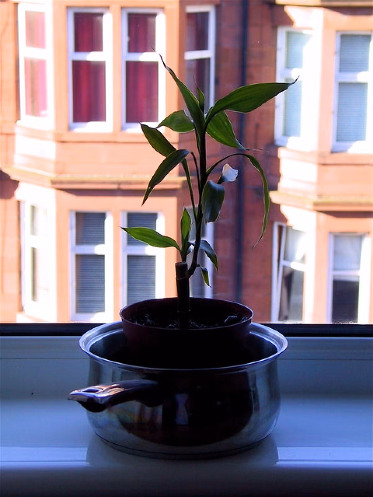 Cach giup phong ngu vua dep lai than thien voi moi truong-Hinh-3