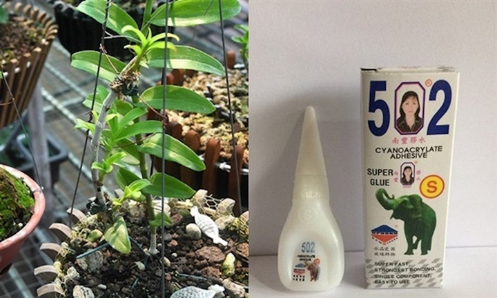 Nhung su that nga ngua ve lan dot bien tien ty-Hinh-2