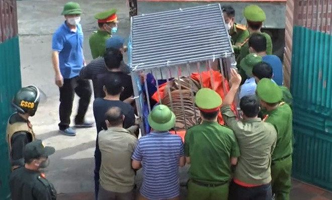 Lực lượng chức năng sau đó đã bắn thuốc mê để di chuyển 17 con hổ về chăm sóc tại một khu sinh thái ở huyện Diễn Châu.