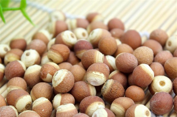 Bo hon nhan sam, 6 loai 