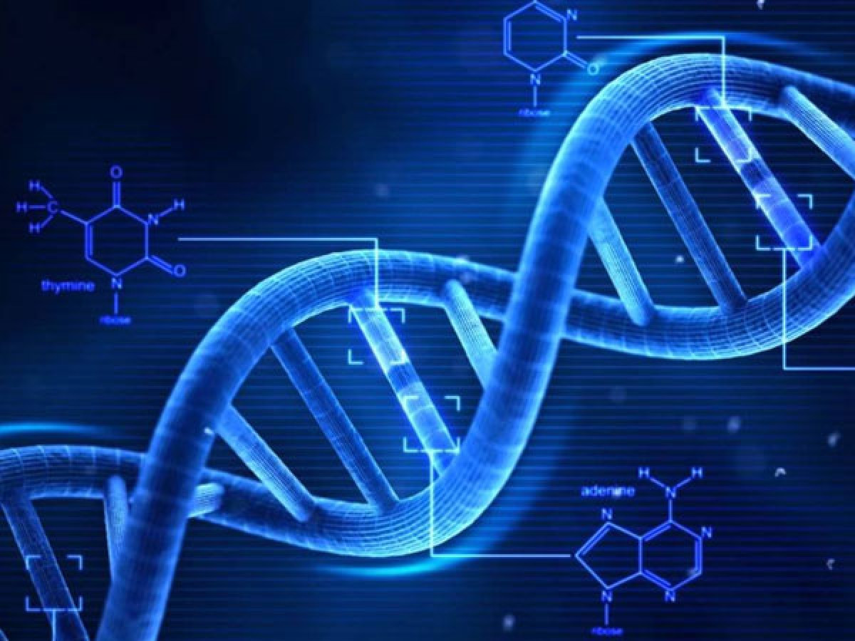  Di truyền: Thủ phạm cuối cùng gây tình trạng lỗ chân lông to là một yếu tố bạn không thể kiểm soát được - di truyền. Di truyền đóng vai trò rất lớn trong việc quyết định kích cỡ lỗ chân lông. Mặc dù bạn không thể can thiệp vào gen di truyền, bạn có thể áp dụng thói quen chăm sóc da lành mạnh để khiến lỗ chân lông bớt rõ rệt. Rửa mặt, tẩy da chết và dưỡng ẩm là những bước chăm sóc da cực kỳ quan trọng giúp làn da mềm mịn và bóng khỏe.