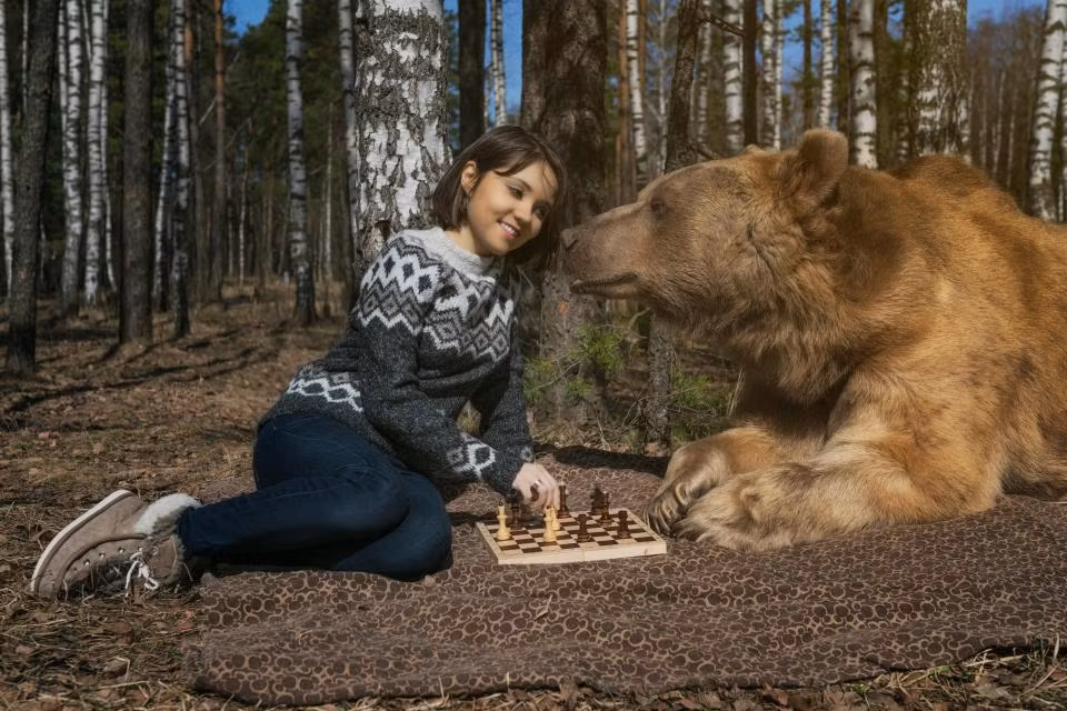 Một trong những sở thích của gấu khổng lồ là chơi cờ vua với cô bạn Fadina. (Theo The Sun)