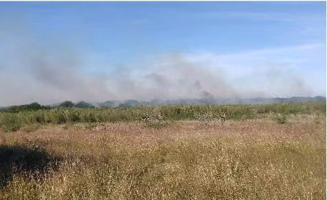 Theo Sputnik, lúc 16:00 ngày 21/11/2017 theo giờ địa phương, một phi cơ huấn luyện trị giá 6,1 triệu USD của Mỹ đã rơi tại thành phố Del Rio gần căn cứ không quân Laughlin, khiến một người chết và một người khác bị thương. Ảnh: Hiện trường vụ rơi máy bay. Nguồn ảnh: Twitter..