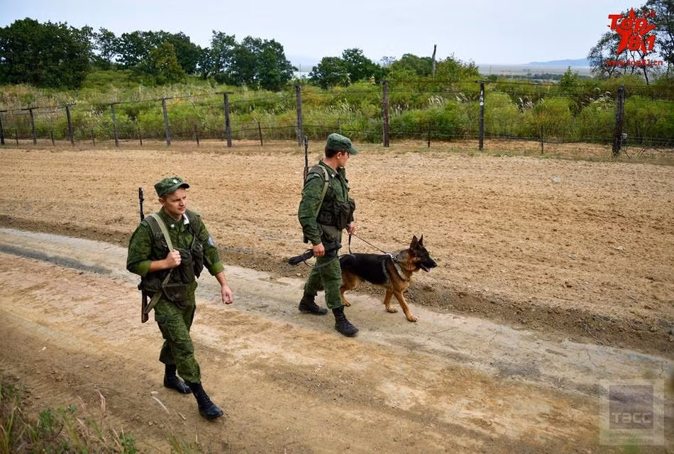 Trong khi đó, do giao thông lên biên giới rất khó khăn, nhiều tuyến biên giới Nga-Trung ở phía Trung Quốc đã để cỏ hoang mọc um tùm do không quan tâm nhiều cho lắm. Nguồn ảnh: Tass.