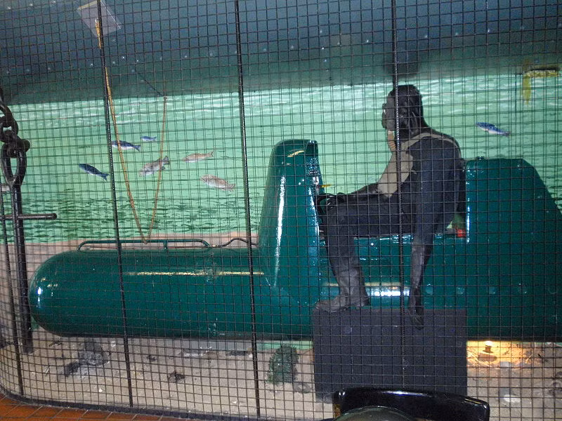 Mô phỏng cách điều khiển các loại "ngư lôi mui trần" dành cho lực lượng người nhái đặc nhiệm. Với trang bị này, lực lượng người nhái đặc nhiệm có thể áp sát, đột nhập mục tiêu của đối phương ở khoảng cách xa hàng chục kilomets mà không cần phải tốn sức tự bơi. Nguồn ảnh: Wiki.