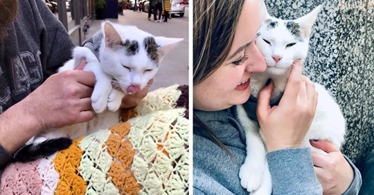 Anh chang co long tot cham soc meo lang thang, nhan dieu kho tin