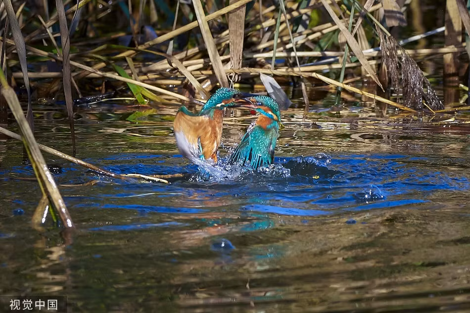 Boi ca kich chien du doi, tu khong chien den thuy chien gianh lanh tho-Hinh-4