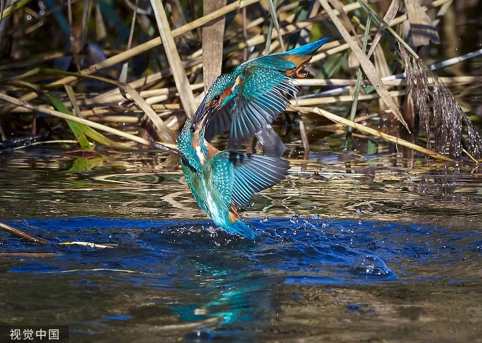 Boi ca kich chien du doi, tu khong chien den thuy chien gianh lanh tho-Hinh-5