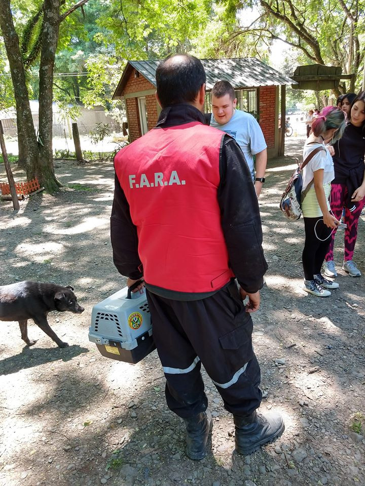 Cô Florencia đưa Tito đến bệnh viện thú ý để kiểm tra, hy vọng các bác sĩ sẽ tìm ra nguyên nhân thực sự của vết thương và chữa lành cho nó. Thế nhưng, khi khám cho Tito, các bác sĩ không thể phân biệt được Tito thuộc giống mèo nào, vì vậy họ nghi ngờ rằng Tito là một loài quý hiếm.