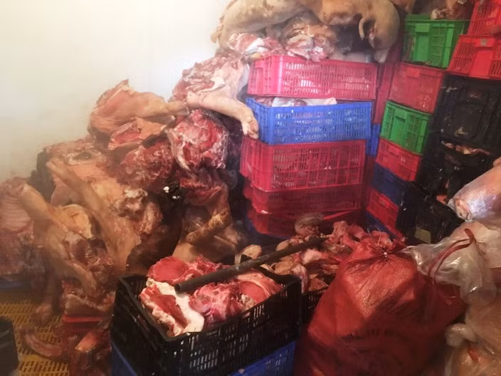 Dot kich duong day kinh doanh thit lon thoi