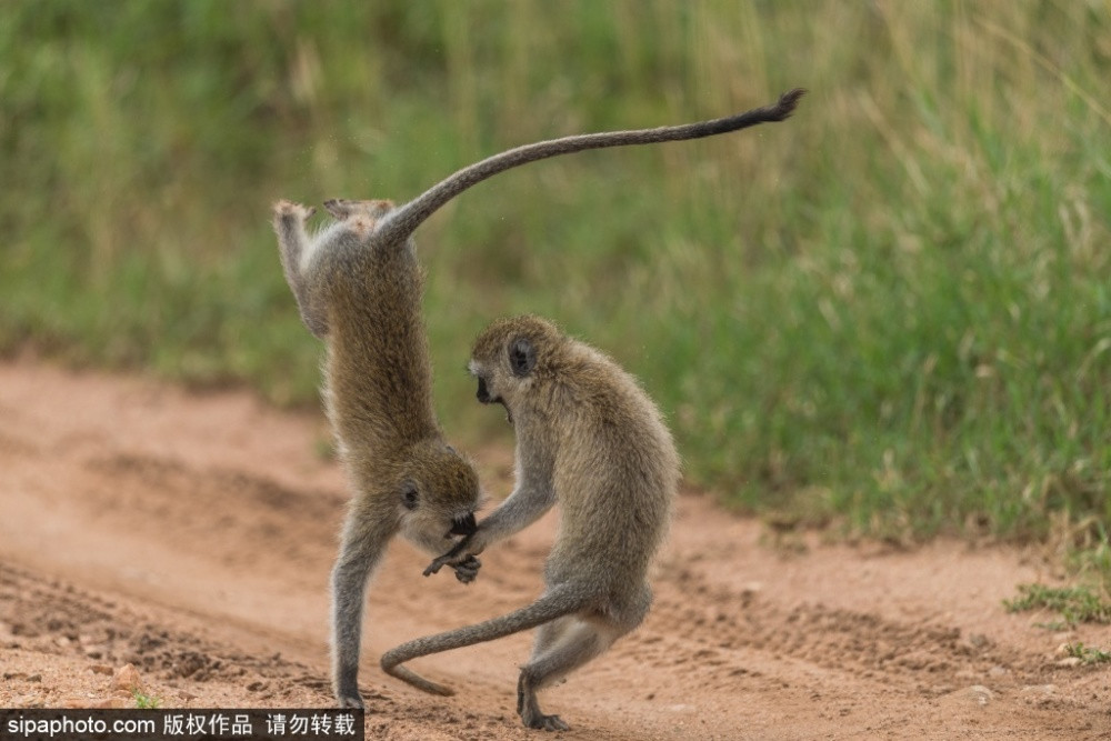 Khi duoi dai vi thanh nien danh chien cuc 