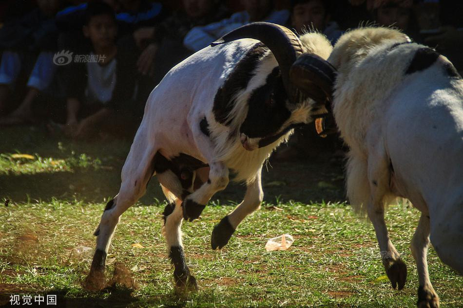 Kich tinh cuu Priangan lan xa, dau nhau chi mang