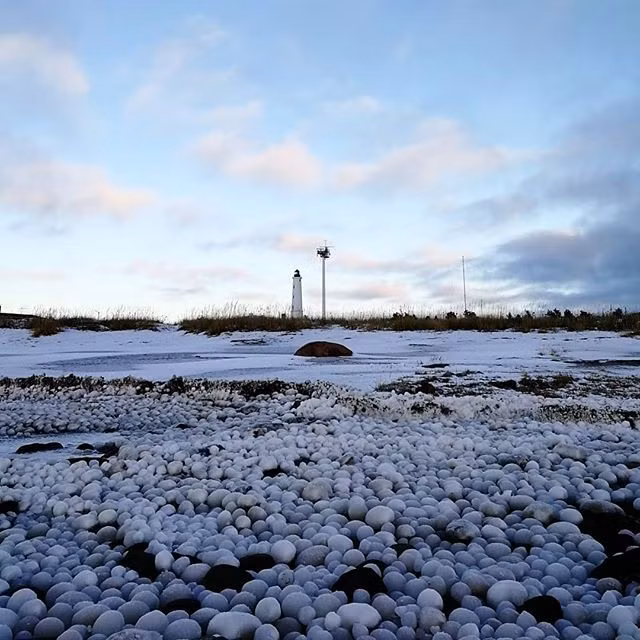 Su thuc bat ngo sau hien tuong bien de trung bang ky dieu-Hinh-2