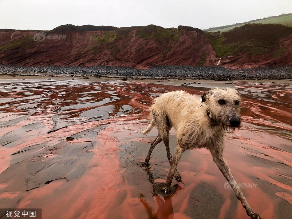 Bai bien doi mau do mau sau mot dem, lo nguyen nhan bat ngo-Hinh-2