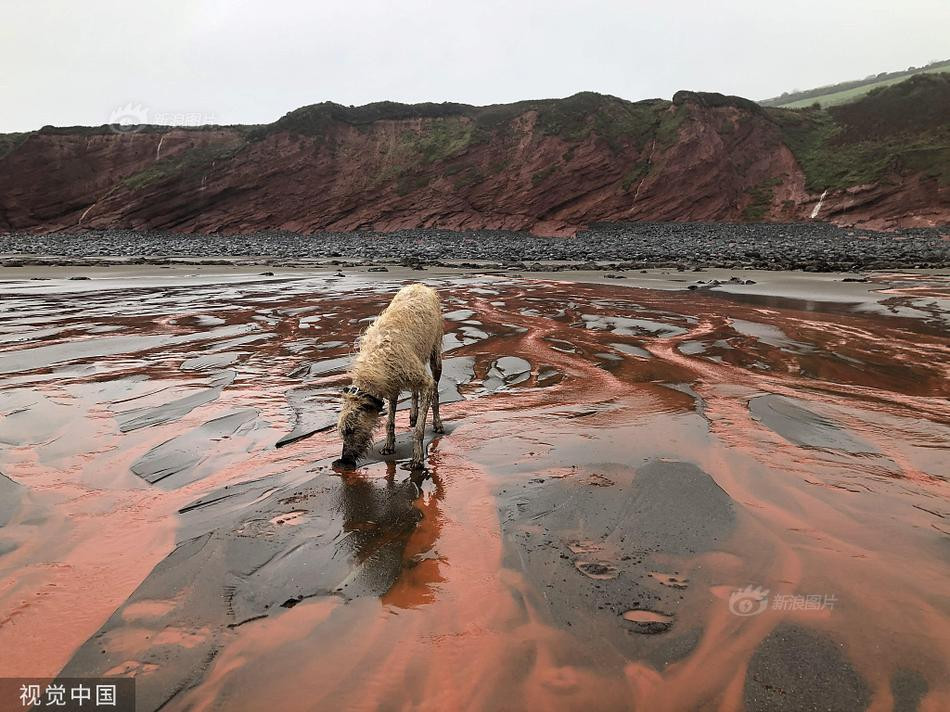 Bai bien doi mau do mau sau mot dem, lo nguyen nhan bat ngo-Hinh-3