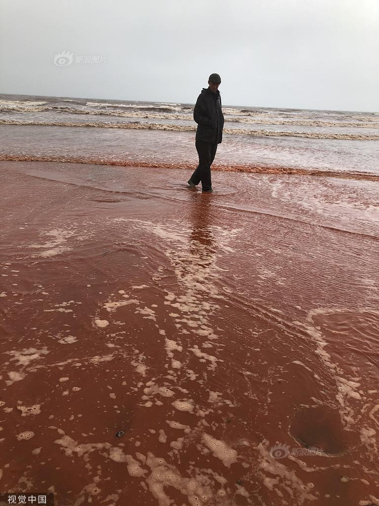 Bai bien doi mau do mau sau mot dem, lo nguyen nhan bat ngo