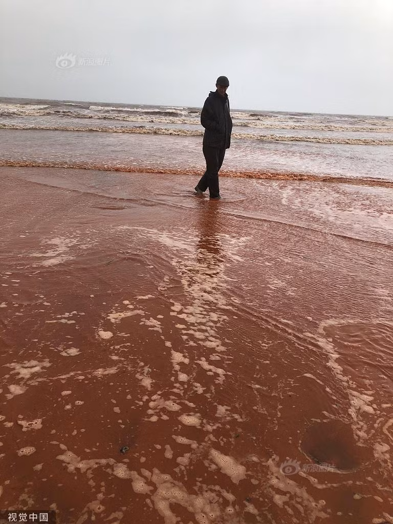 Bai bien doi mau do mau sau mot dem, lo nguyen nhan bat ngo