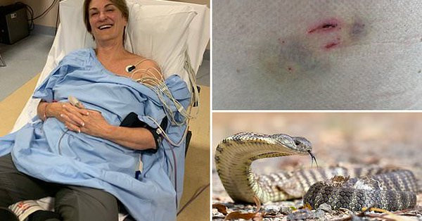 Pha dam doi ran doc nhat TG an ai, co gai thoat chet than ky