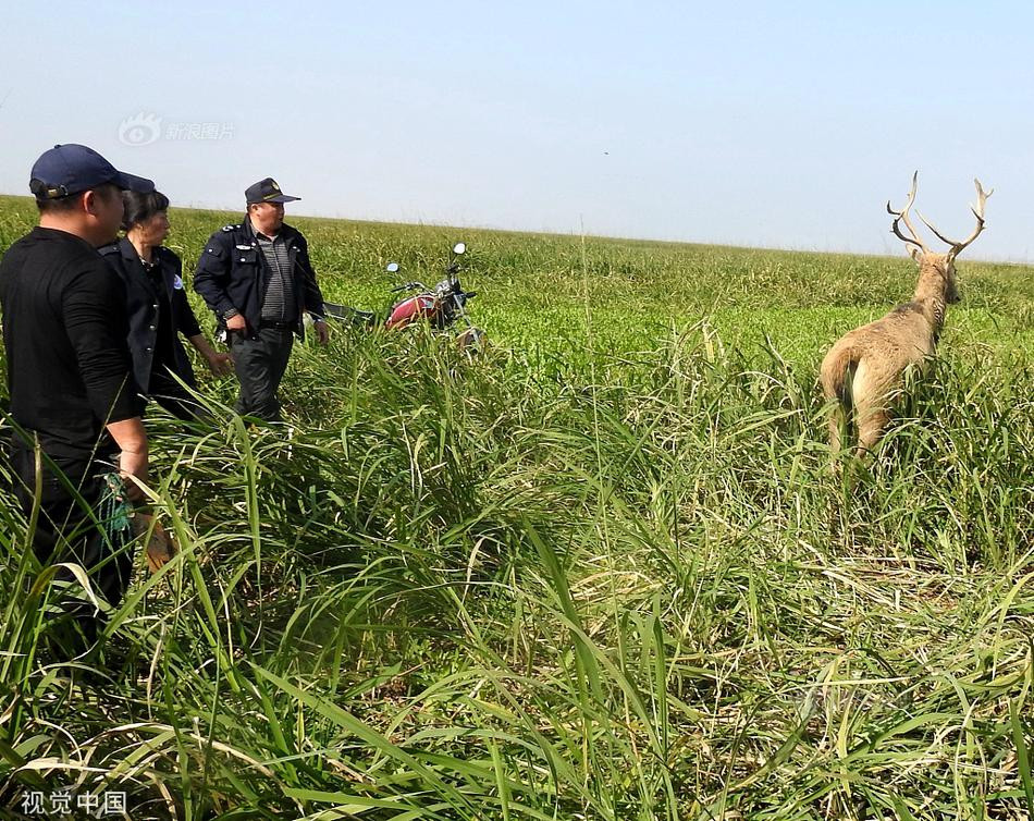 Luoi tom 15kg cuon chat dau, huou duc hoang loan-Hinh-5