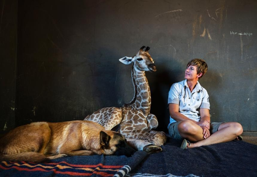 Chuyen yeu thuong: Huou cao co mo coi duoc cho chan cuu nang do-Hinh-5